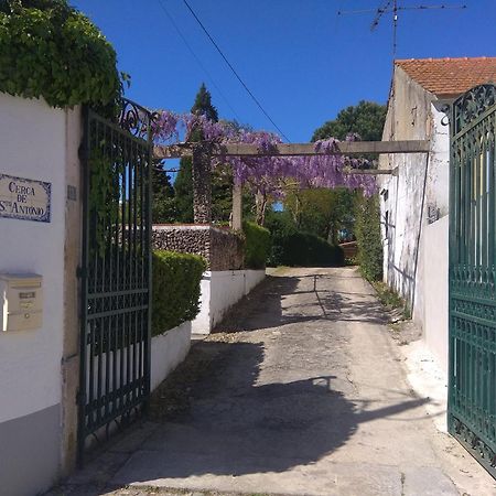 Casa Dos Arrabidos Guest House Torres Novas Eksteriør bilde