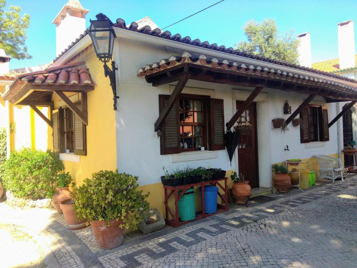 Casa Dos Arrabidos Guest House Torres Novas Eksteriør bilde