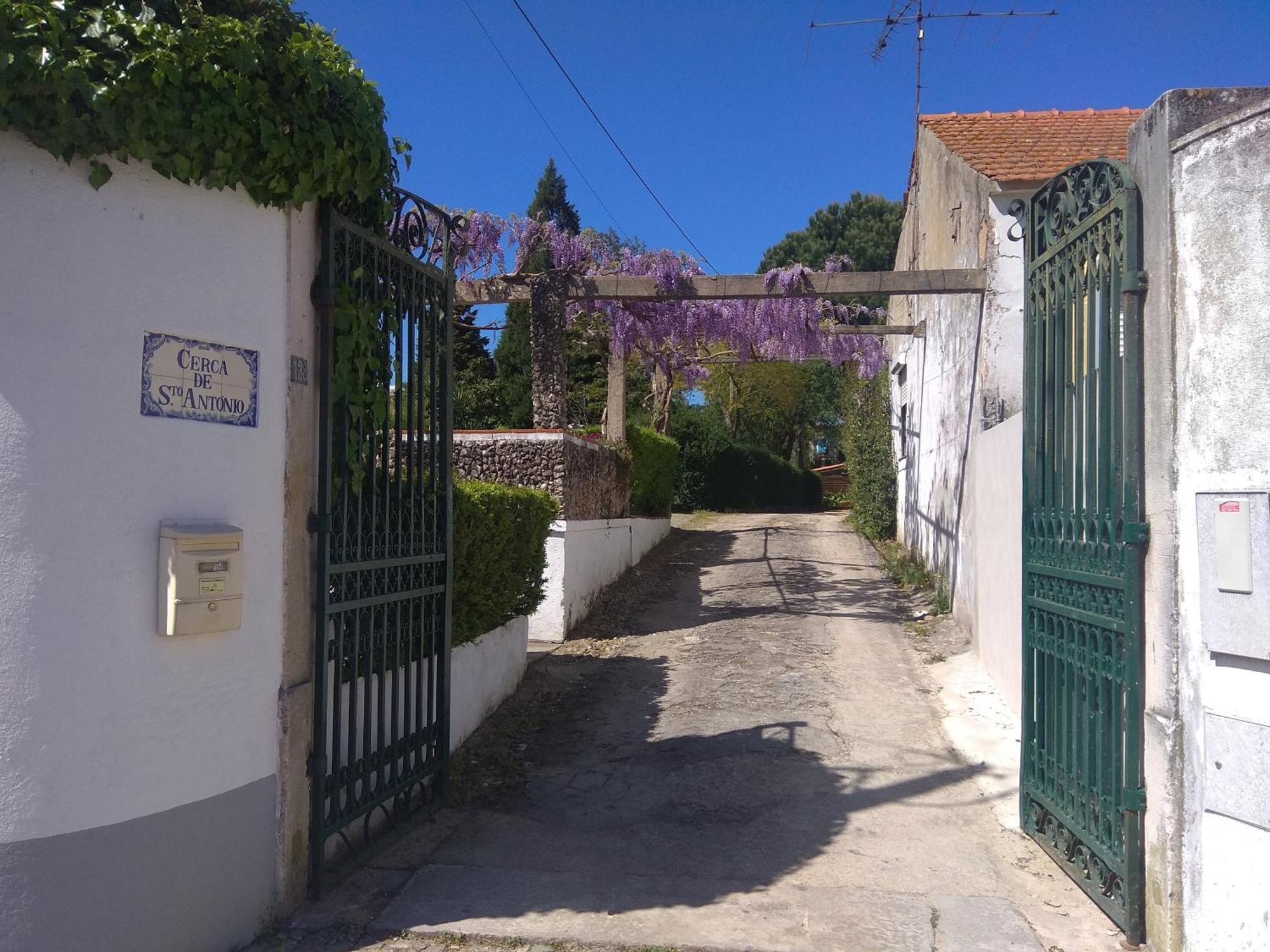 Casa Dos Arrabidos Guest House Torres Novas Eksteriør bilde