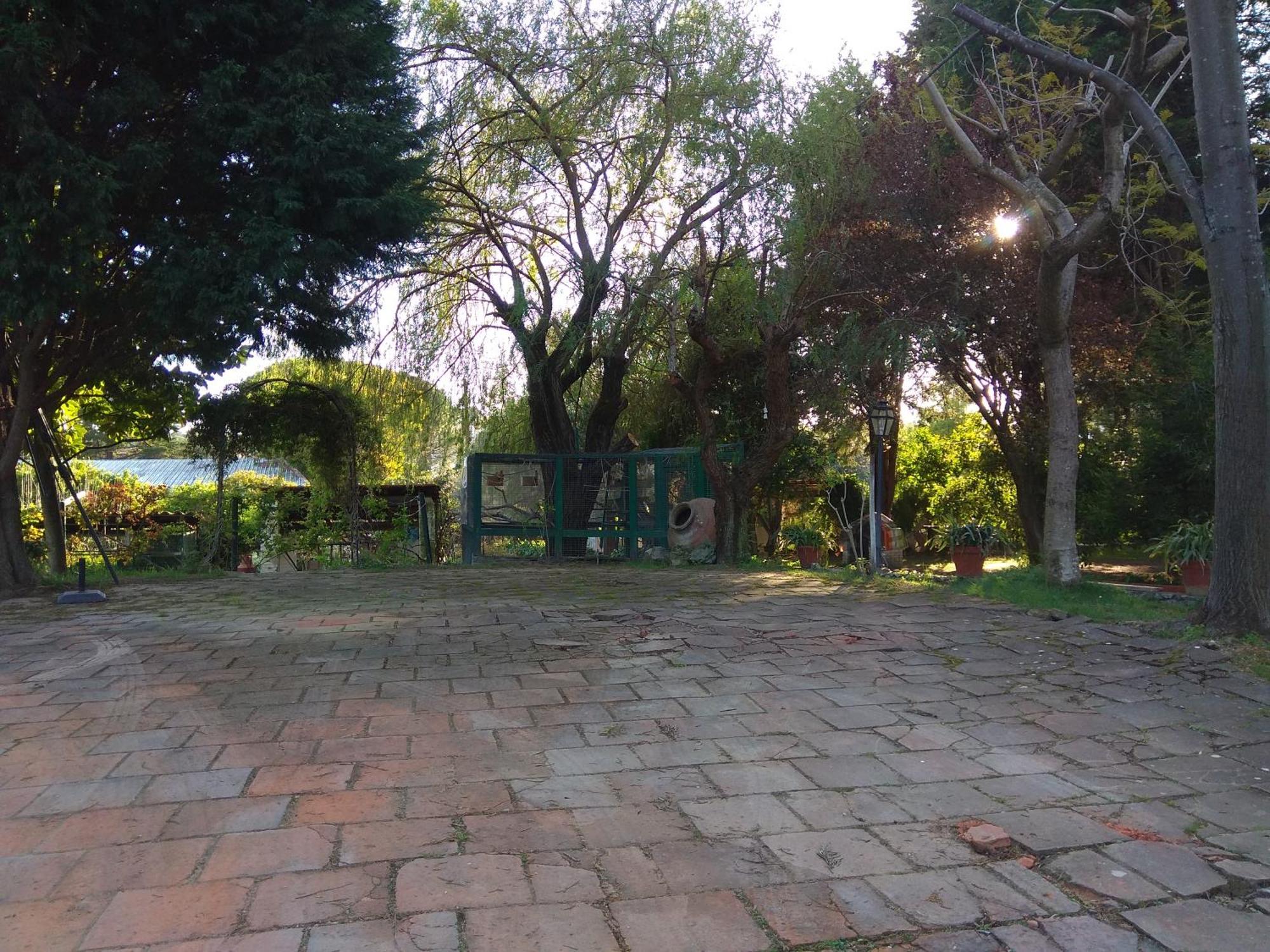 Casa Dos Arrabidos Guest House Torres Novas Eksteriør bilde