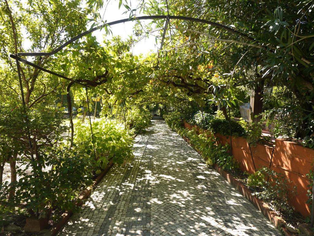 Casa Dos Arrabidos Guest House Torres Novas Eksteriør bilde
