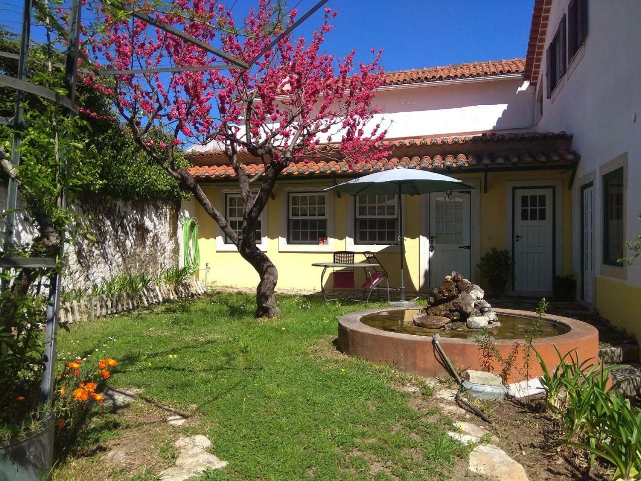 Casa Dos Arrabidos Guest House Torres Novas Eksteriør bilde